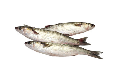 Similar image 6723101