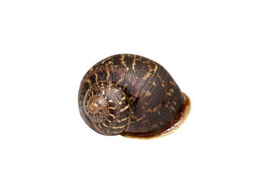 Similar image 6723102