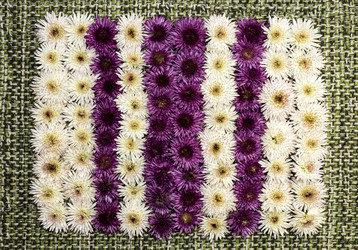 Similar image 6723105