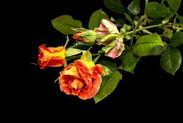 Similar image 6723107