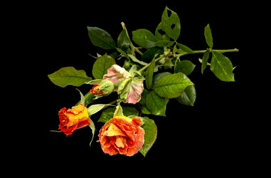 Similar image 6723109