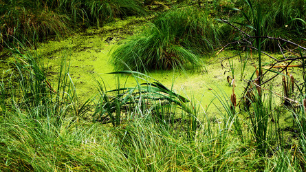 Similar image 6723112