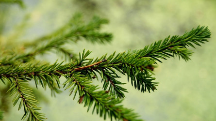 Similar image 6723114