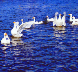 Similar image 6723118