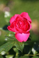 Similar image 6723119