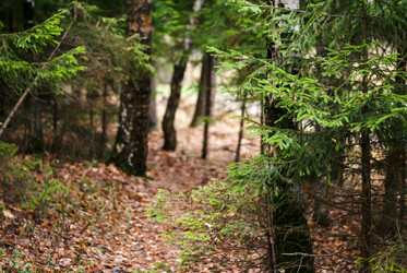 Similar image 6723228