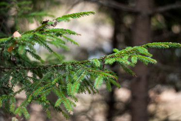 Similar image 6723230