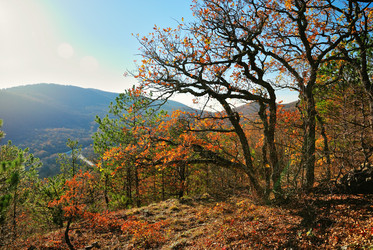 Similar image 6723231