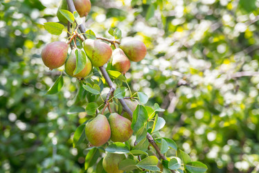 Similar image 6723232