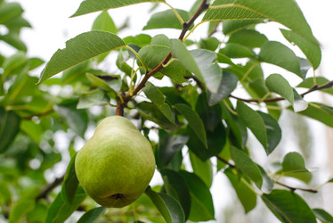 Similar image 6723236