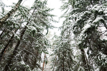 Similar image 6723241