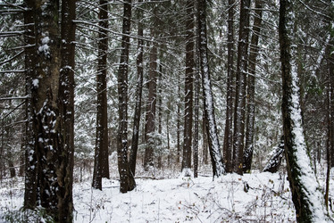 Similar image 6723243