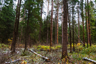 Similar image 6723245