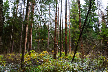 Similar image 6723246