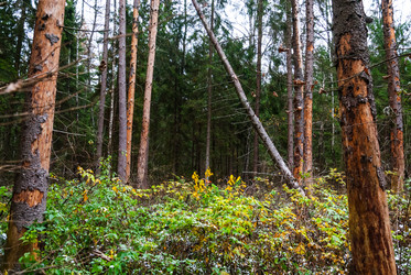 Similar image 6723248