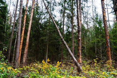 Similar image 6723250