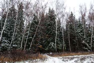 Similar image 6723252