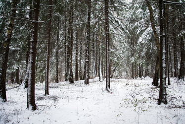 Similar image 6723254