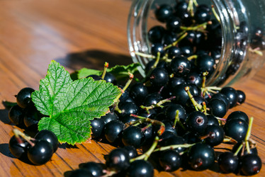 Similar image 6723255