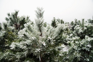 Similar image 6723271