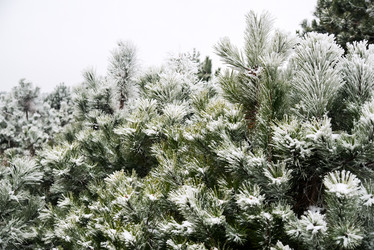 Similar image 6723273