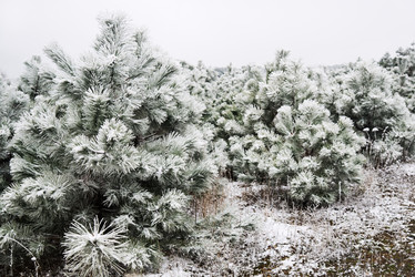 Similar image 6723274