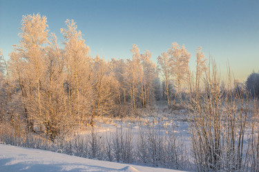 Similar image 6723305