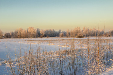 Similar image 6723312