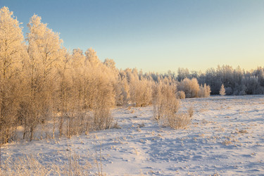 Similar image 6723329