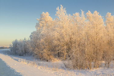 Similar image 6723330