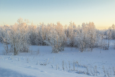 Similar image 6723335