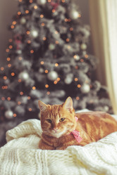 Similar image 6723610