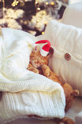 Similar image 6723613