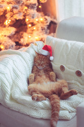 Similar image 6723646