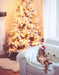 Similar image 6723647