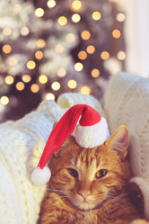 Similar image 6723669