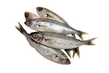 Similar image 6723739