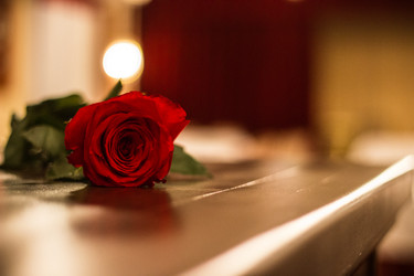 Similar image 6723784