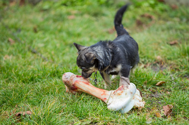 Similar image 6723800