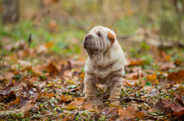 Similar image 6723801