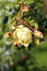 Similar image 6723810