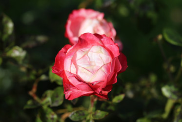 Similar image 6723811