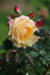 Similar image 6723818