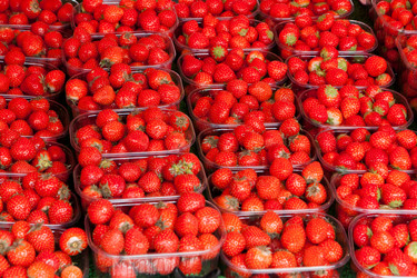 Similar image 6723835