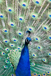 Similar image 6723837