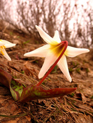 Similar image 6724191