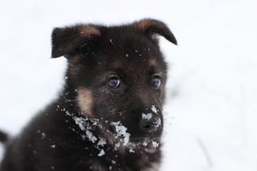 Similar image 6724290