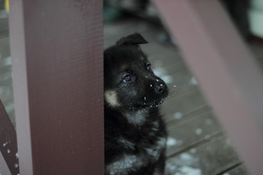 Similar image 6724295