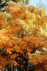 Similar image 6724319