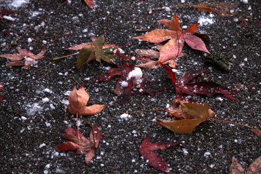 Similar image 6724405